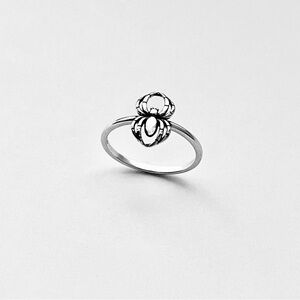 Sterling Silver Small Spider Ring, Bug Rings, Insect Bugs, Spiderweb, Spiders